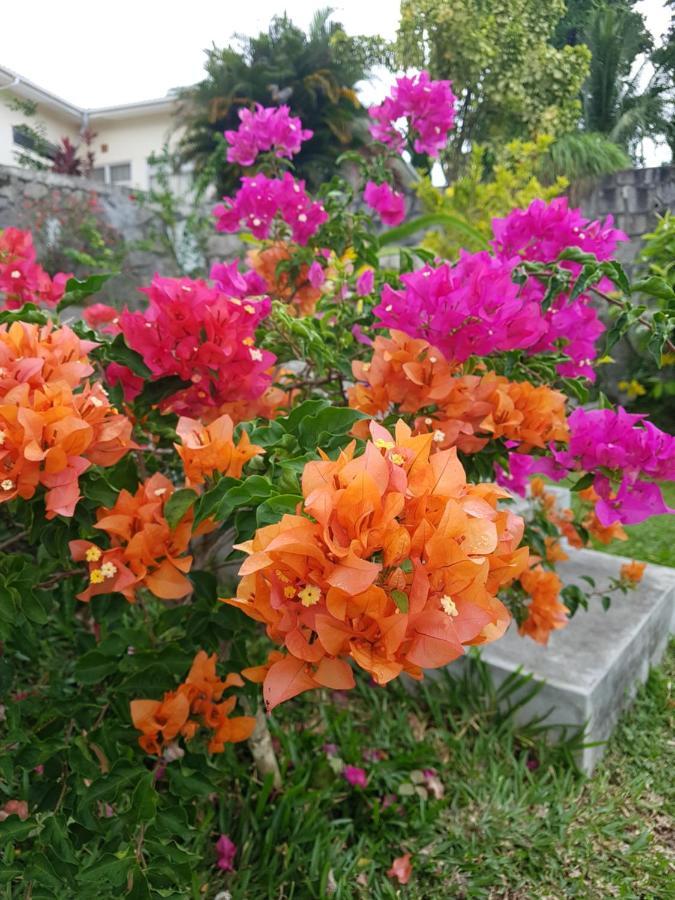 Rose Self Catering Appartement Beau Vallon  Buitenkant foto